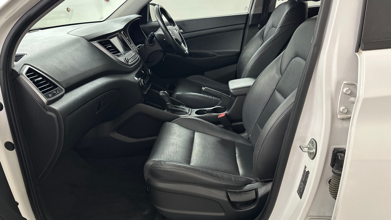 Lazy Owl Image