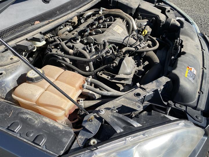 Lazy Owl Image