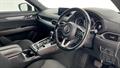 Lazy Owl Image