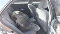 Lazy Owl Image
