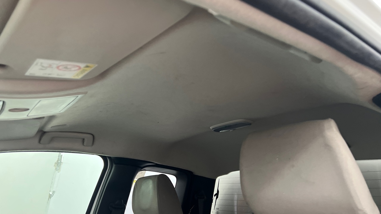 Lazy Owl Image