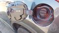 Lazy Owl Image