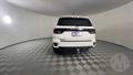 Lazy Owl Image