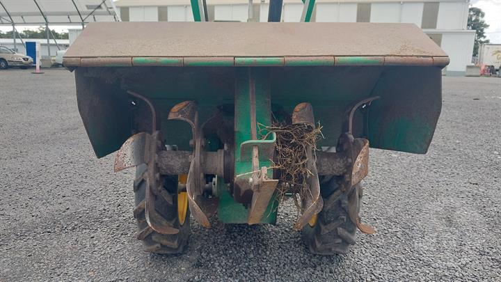 Lazy Owl Image