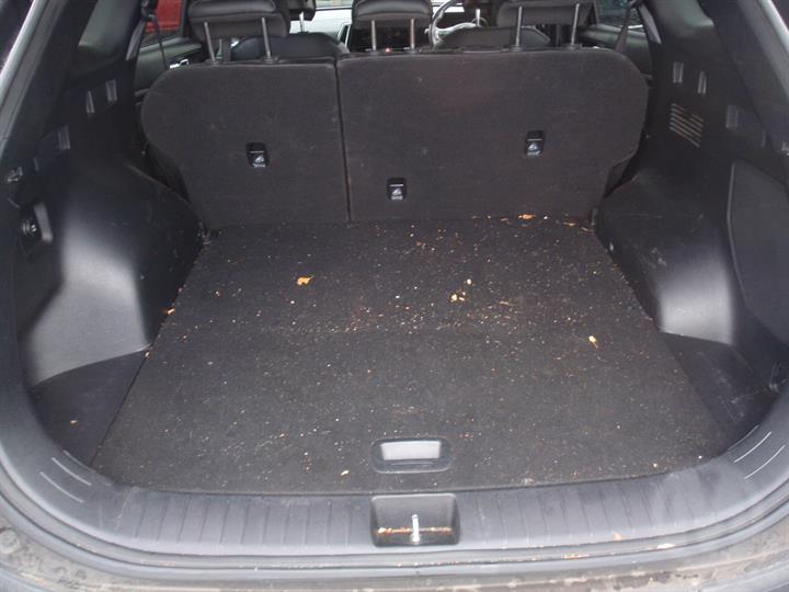 Lazy Owl Image