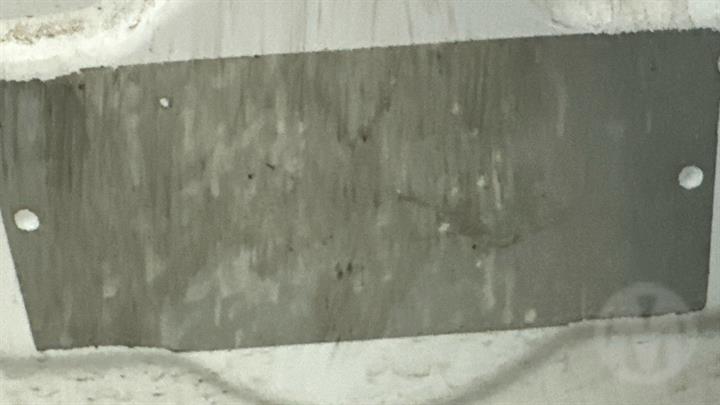 Lazy Owl Image