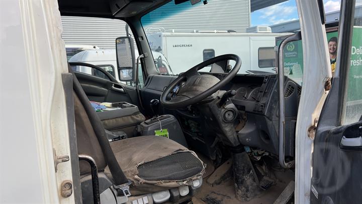 Lazy Owl Image