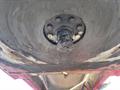 Lazy Owl Image