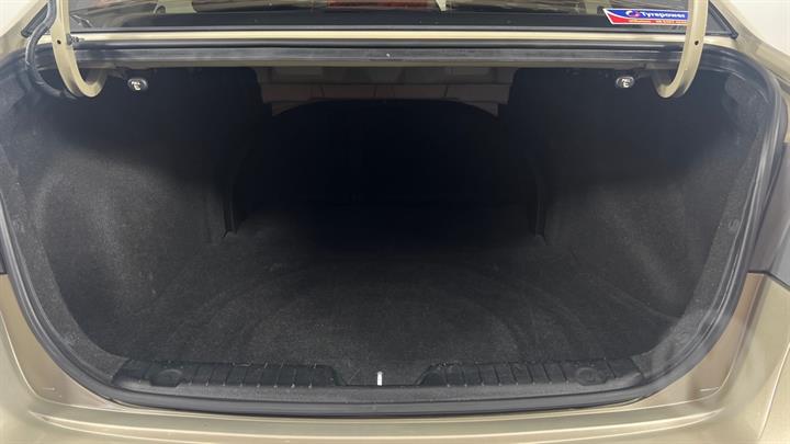 Lazy Owl Image