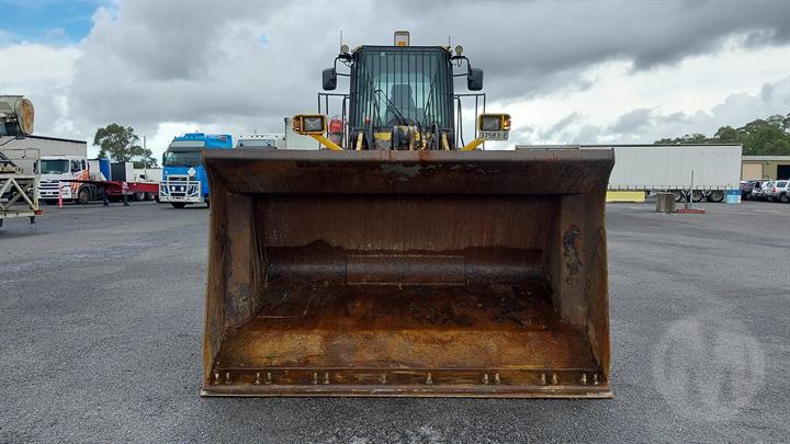 Lazy Owl Image