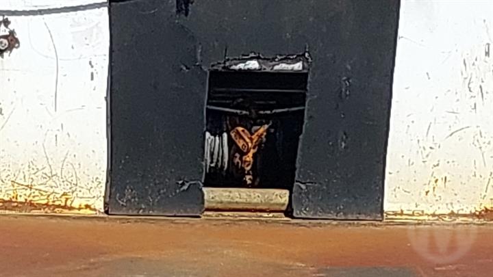 Lazy Owl Image