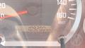 Lazy Owl Image
