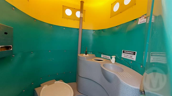 Lazy Owl Image