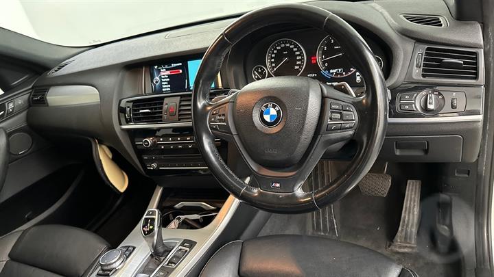 Lazy Owl Image