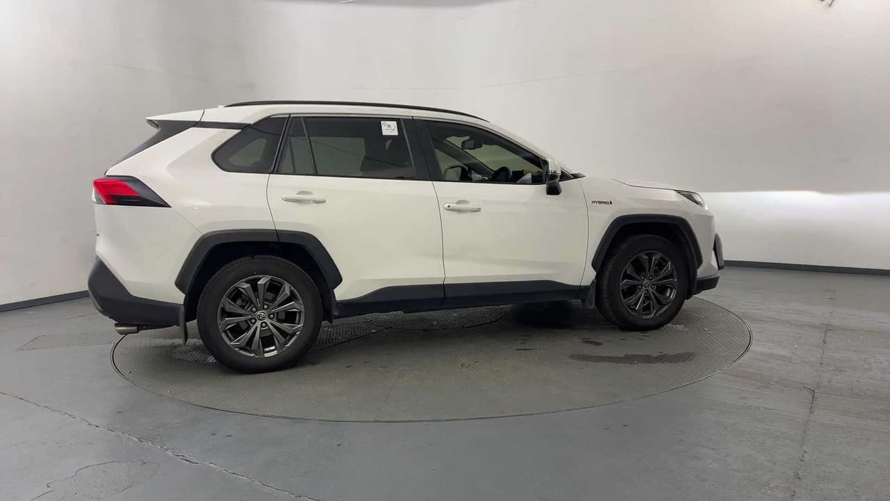 Lazy Owl Image