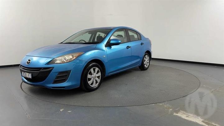 Lazy Owl Image