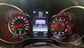 Lazy Owl Image
