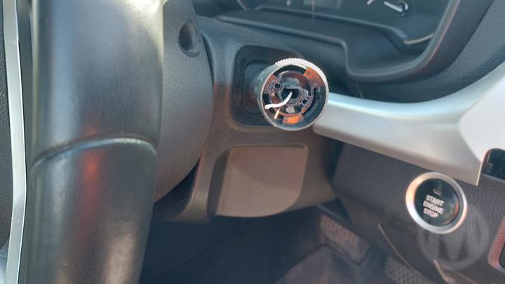 Lazy Owl Image