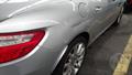 Lazy Owl Image