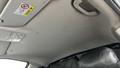 Lazy Owl Image