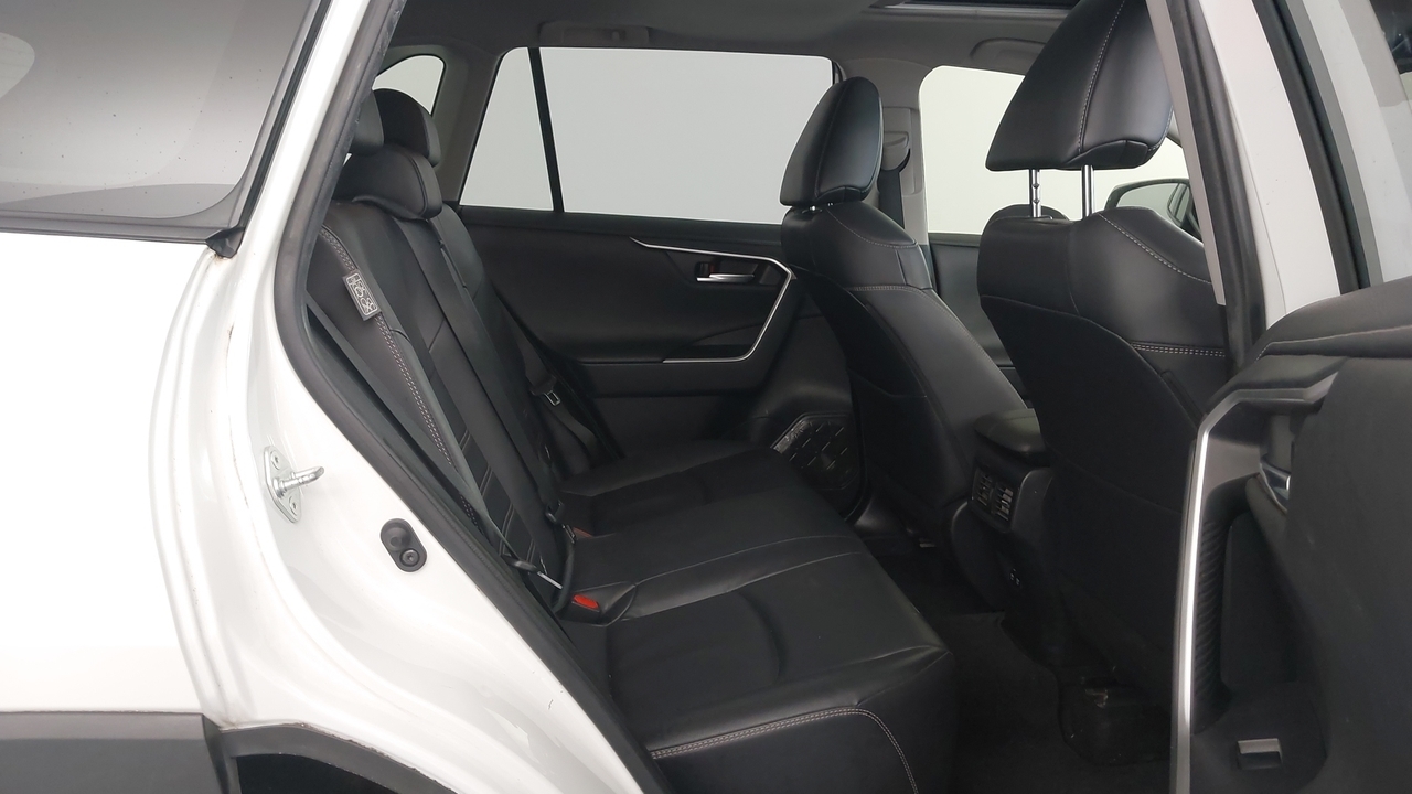 Lazy Owl Image