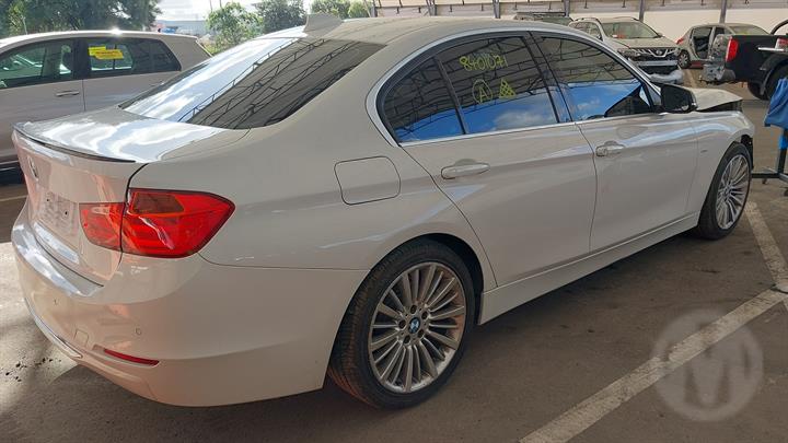 Lazy Owl Image