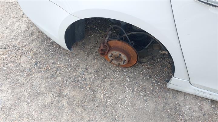 Lazy Owl Image