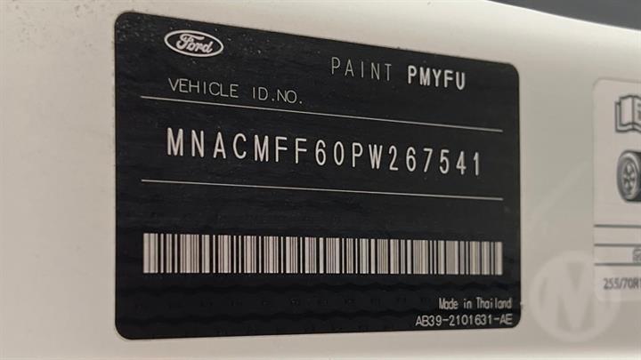 Lazy Owl Image