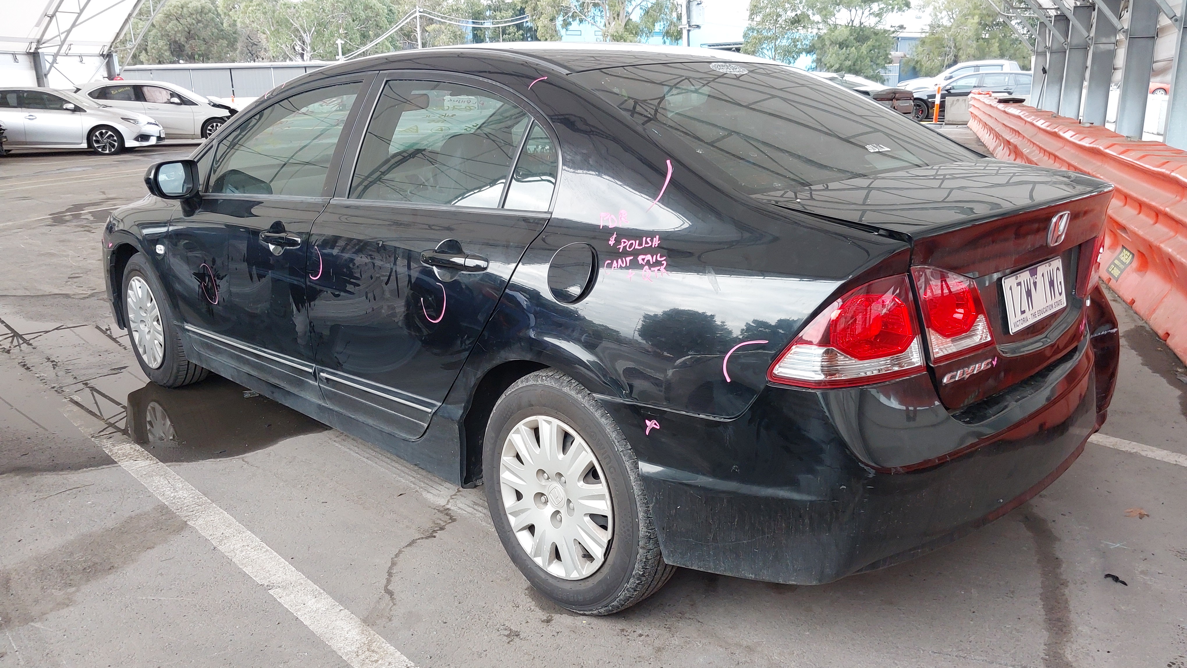 Lazy Owl Image