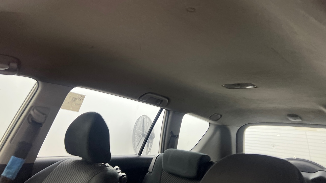 Lazy Owl Image