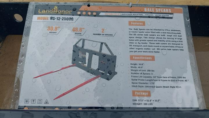 Lazy Owl Image