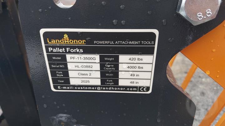 Lazy Owl Image