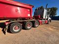 Lazy Owl Image