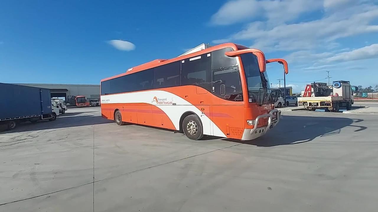 Lazy Owl Image