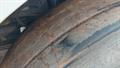 Lazy Owl Image