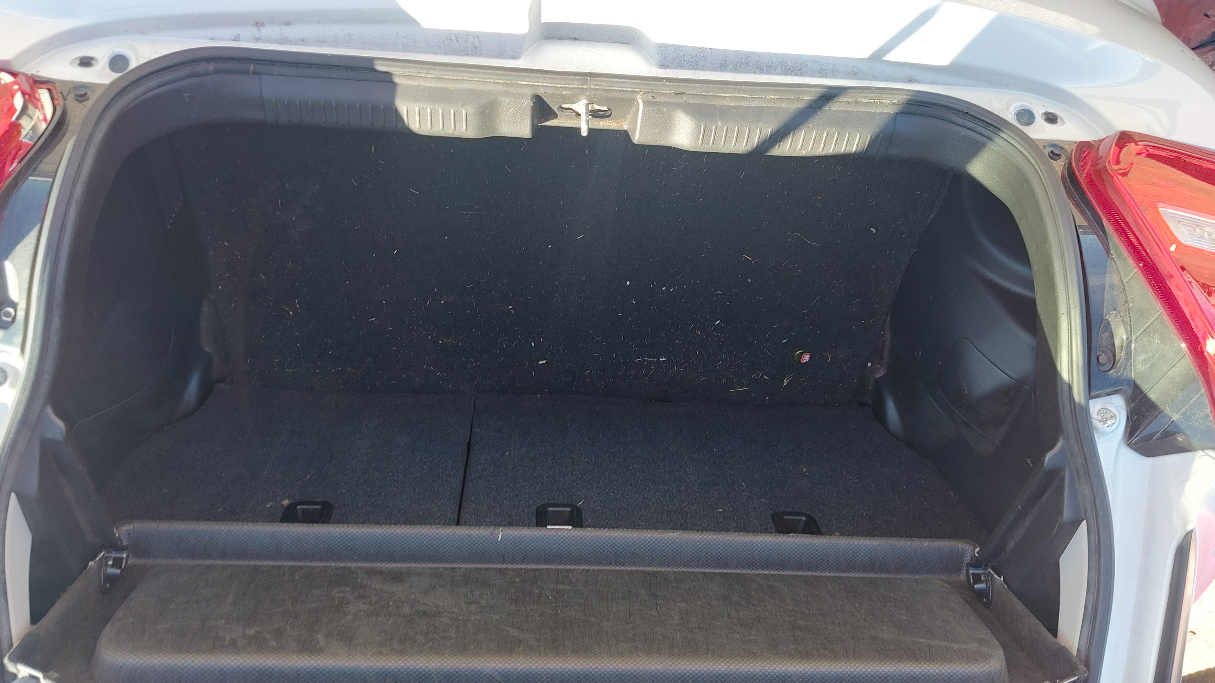 Lazy Owl Image