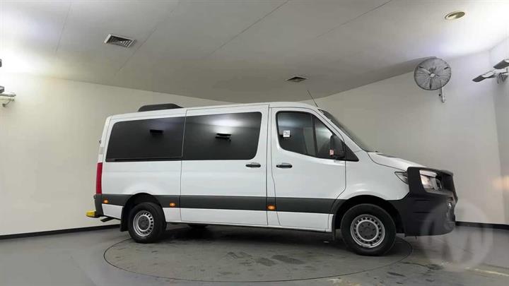 Lazy Owl Image