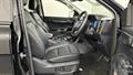 Lazy Owl Image