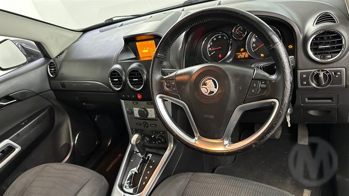 Lazy Owl Image
