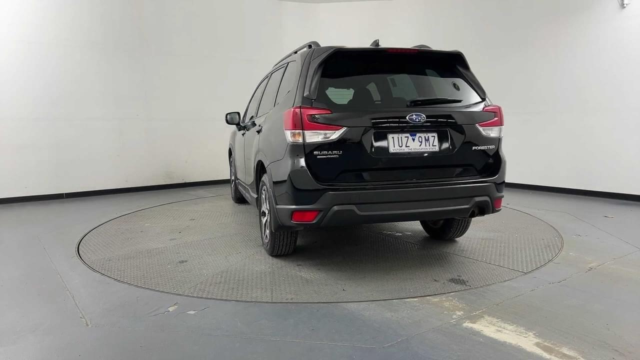 Lazy Owl Image