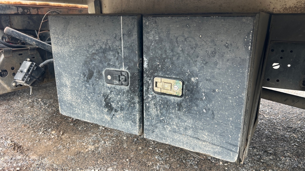 Lazy Owl Image