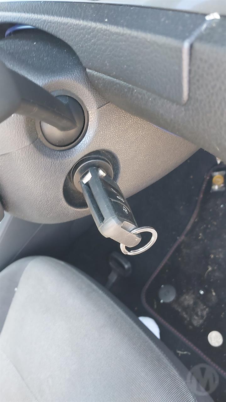 Lazy Owl Image