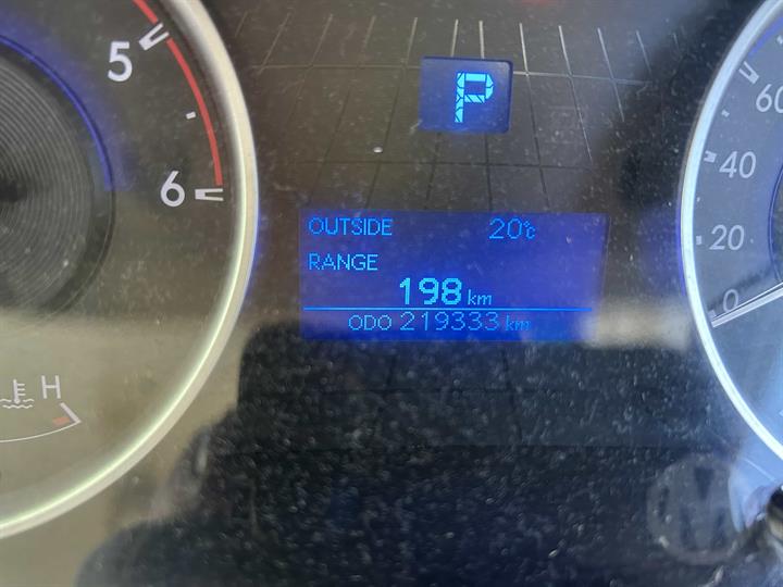 Lazy Owl Image