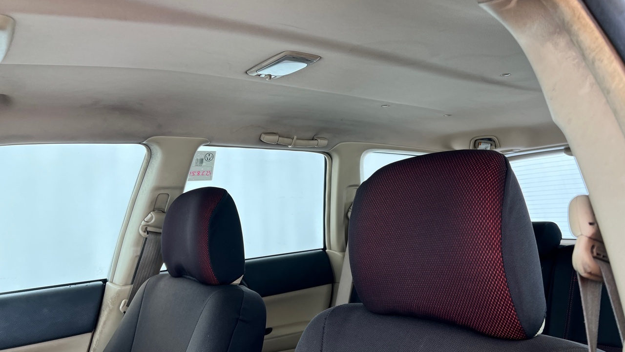 Lazy Owl Image