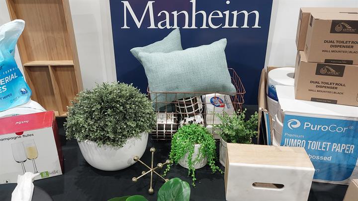 Lazy Owl Image