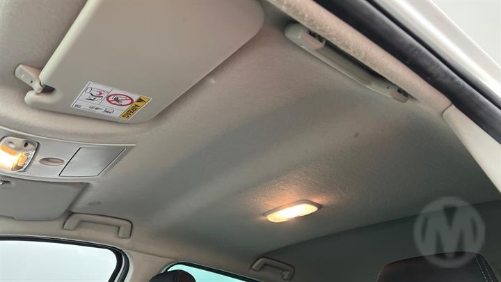 Lazy Owl Image