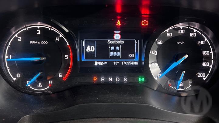 Lazy Owl Image