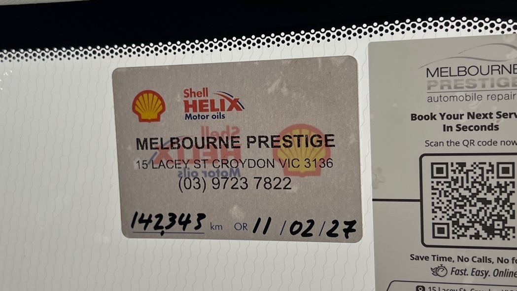 Lazy Owl Image