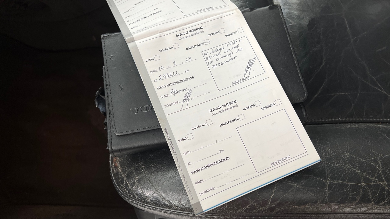 Lazy Owl Image