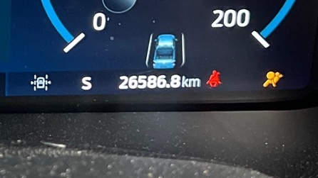 Lazy Owl Image
